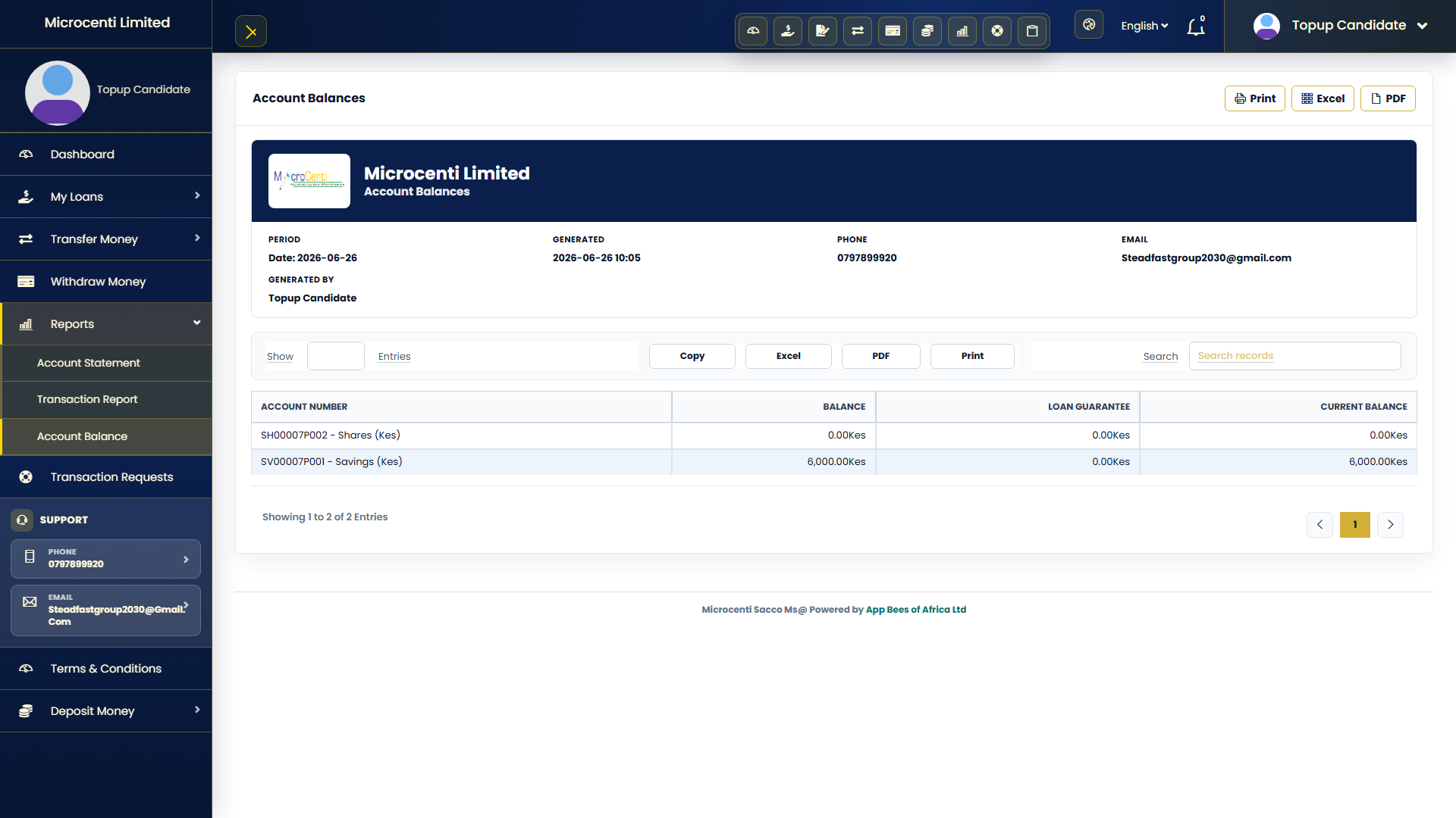 Customer balances screenshot