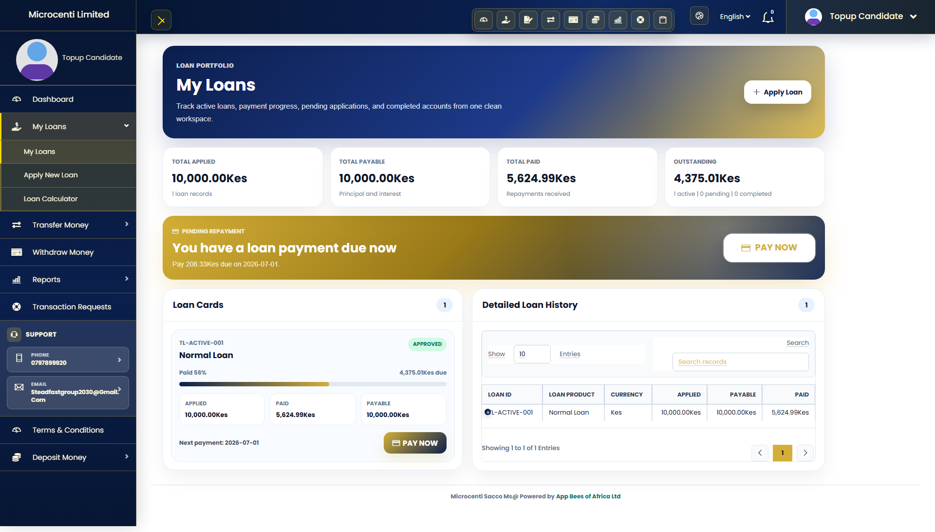 Customer loans screenshot
